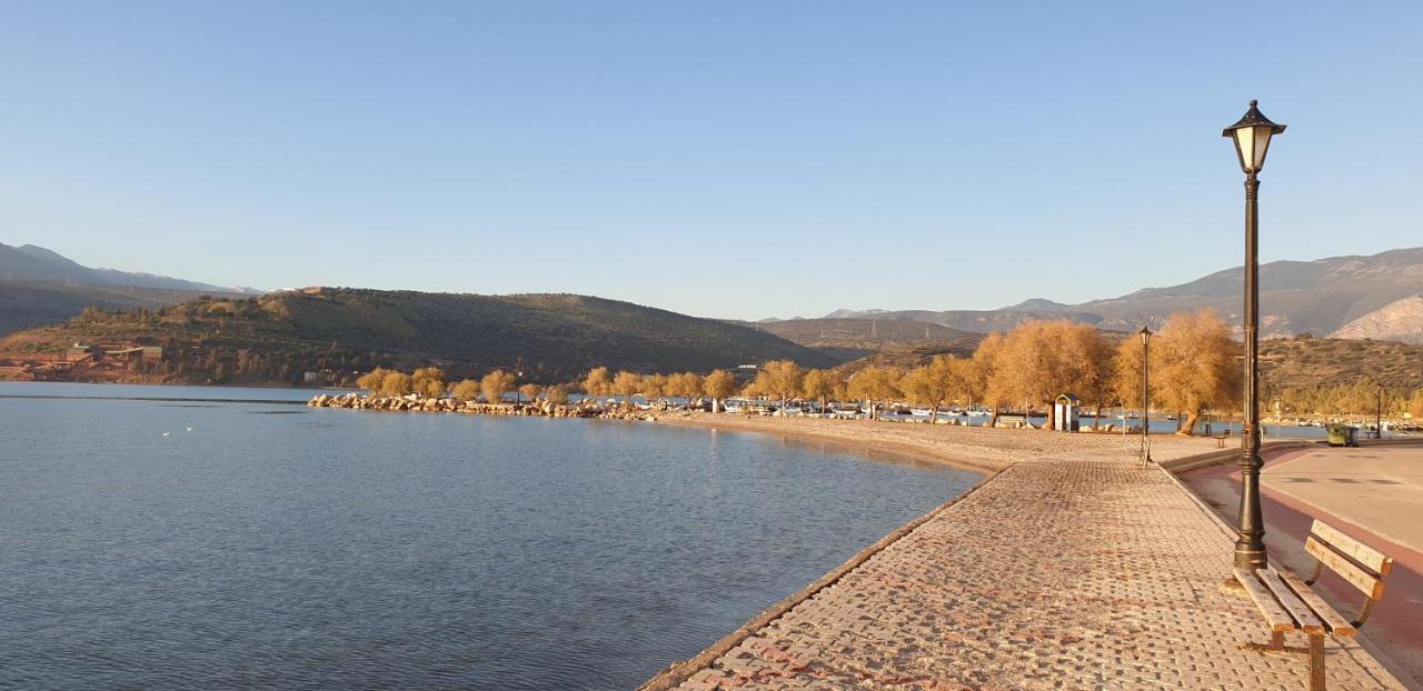 Beach House In Itea-Delphi Bagian luar foto